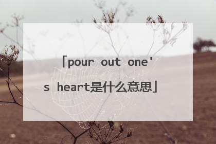 pour out one's heart是什么意思