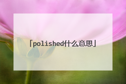 polished什么意思