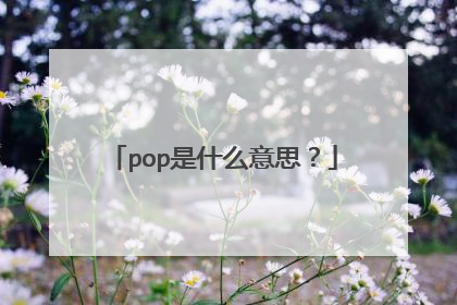 pop是什么意思？