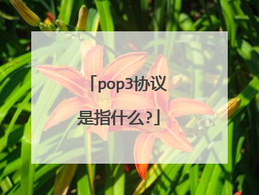 pop3协议是指什么?