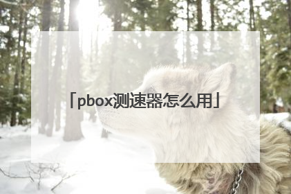 pbox测速器怎么用