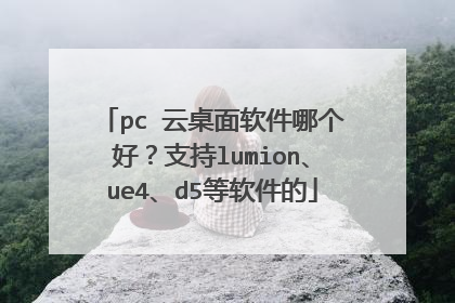 pc 云桌面软件哪个好?支持lumion、ue4、d5等软件的