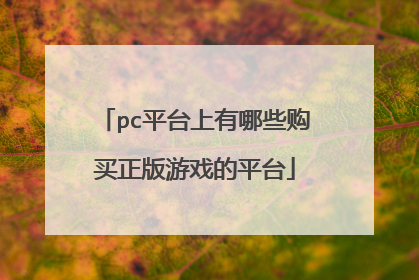 pc平台上有哪些购买正版游戏的平台