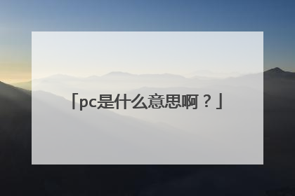 pc是什么意思啊?