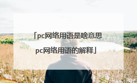 pc网络用语是啥意思 pc网络用语的解释