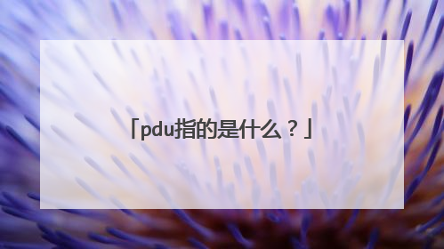 pdu指的是什么?