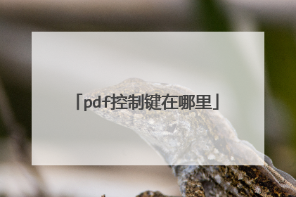 pdf控制键在哪里
