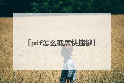 pdf怎么截屏快捷键