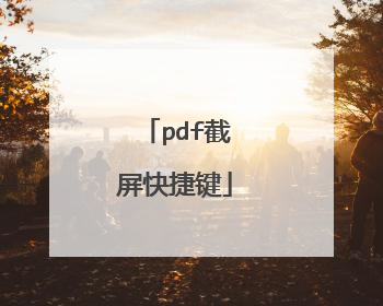 pdf截屏快捷键