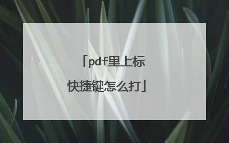 pdf里上标快捷键怎么打