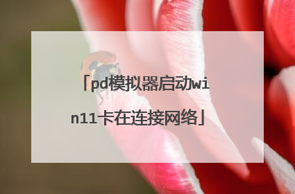 pd模拟器启动win11卡在连接网络