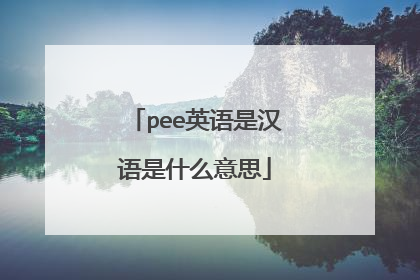 pee英语是汉语是什么意思