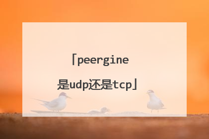 peergine 是udp还是tcp