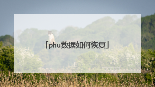 phu数据如何恢复