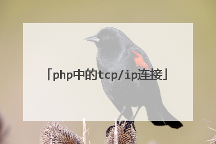 php中的tcp/ip连接