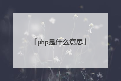 php是什么意思