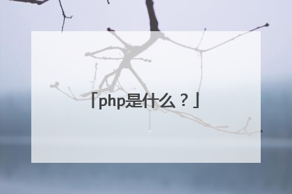 php是什么？