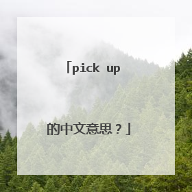 pick up 的中文意思？