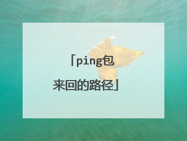ping包来回的路径