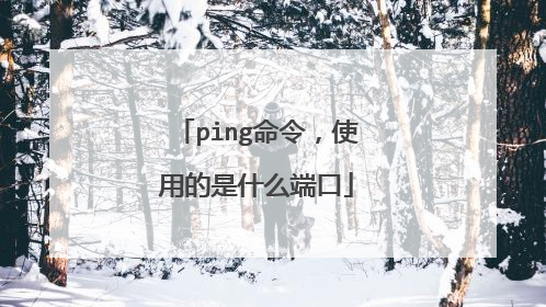 ping命令，使用的是什么端口