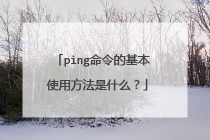 ping命令的基本使用方法是什么?