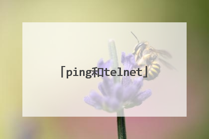 ping和telnet