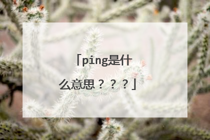 ping是什么意思？？？