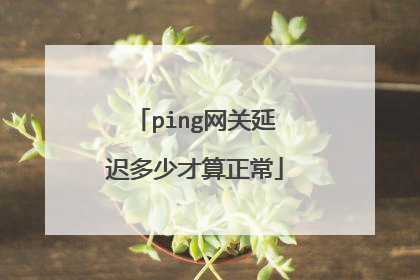 ping网关延迟多少才算正常