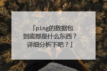 ping的数据包到底都是什么东西？详细分析下吧？