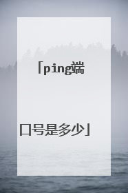 ping端口号是多少