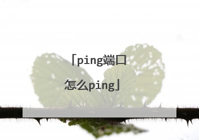 ping端口怎么ping