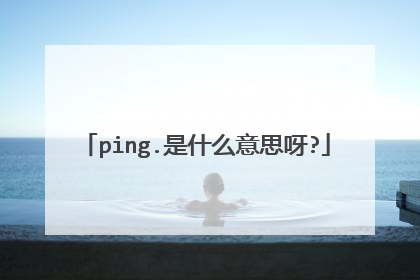 ping.是什么意思呀?