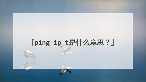 ping ip-t是什么意思?