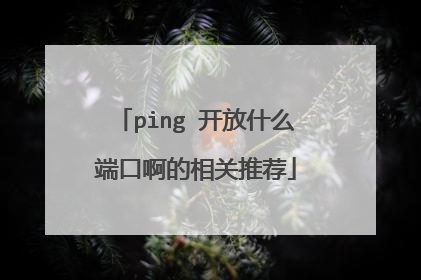 ping 开放什么端口啊的相关推荐
