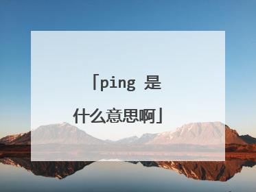 ping 是什么意思啊