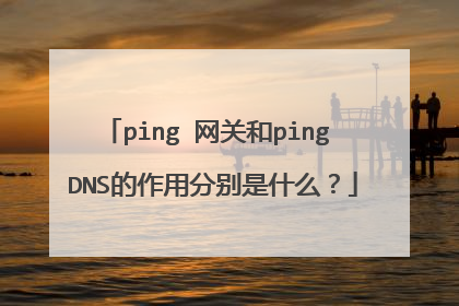 ping 网关和ping DNS的作用分别是什么？