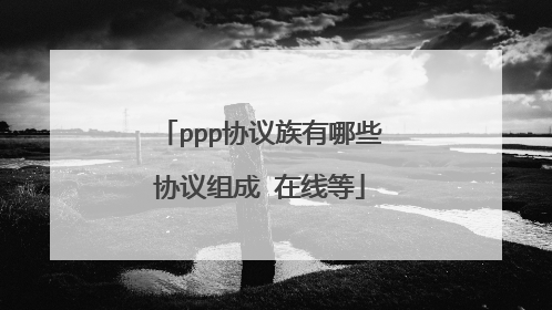 ppp协议族有哪些协议组成 在线等