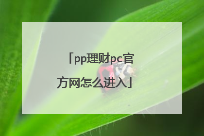 pp理财pc官方网怎么进入
