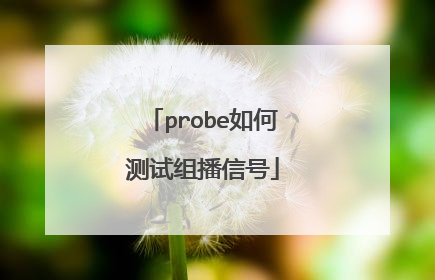 probe如何测试组播信号