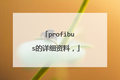profibus的详细资料,