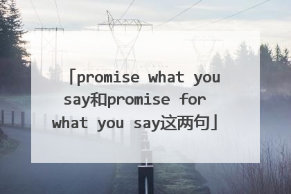 promise what you say和promise for what you say这两句