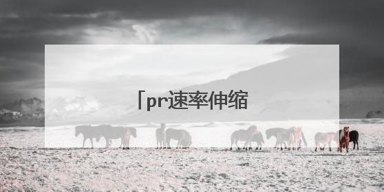 pr速率伸缩工具快捷键