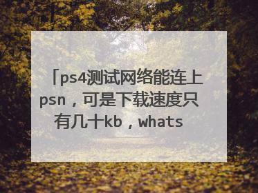 ps4测试网络能连上psn,可是下载速度只有几十kb,whats new.和store都加载不出来