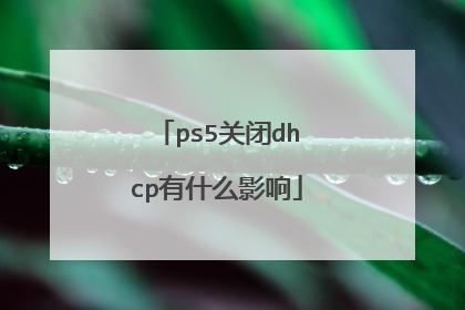 ps5关闭dhcp有什么影响