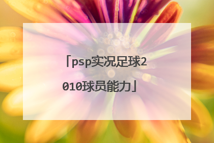 psp实况足球2010球员能力