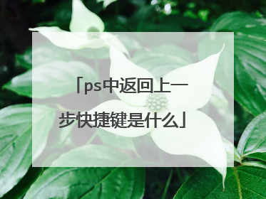ps中返回上一步快捷键是什么