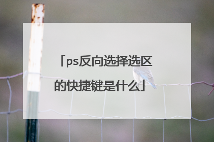 ps反向选择选区的快捷键是什么