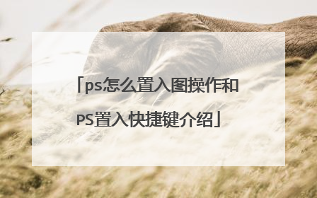 ps怎么置入图操作和PS置入快捷键介绍