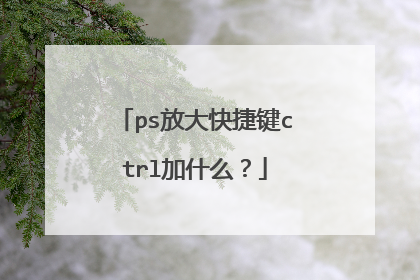 ps放大快捷键ctrl加什么？