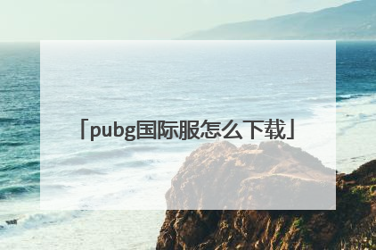 pubg国际服怎么下载